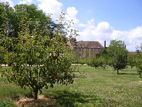 Petites écoles de Port-Royal